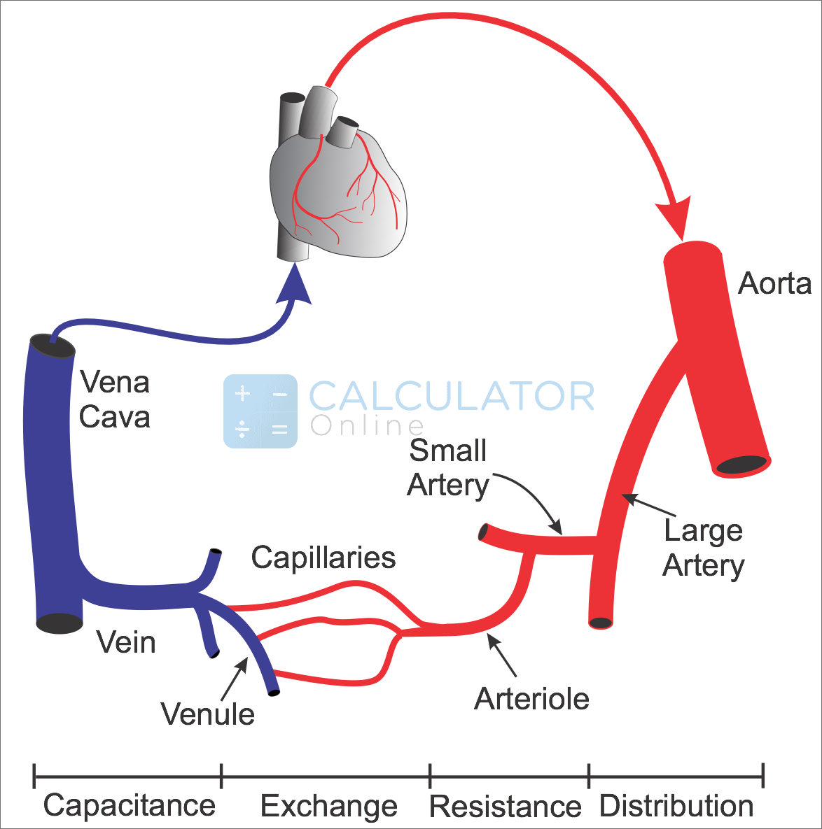 What is Systemic Vascular Resistance